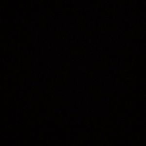 Meet your Posher, Anika